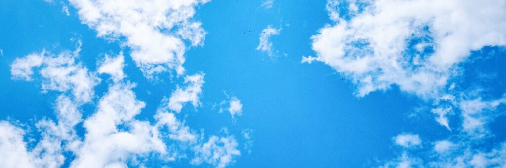 努力と実績次第で収入が青天井になる